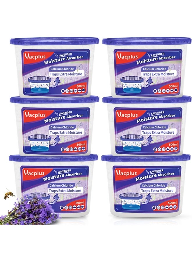 Vacplus Moisture Absorbers 6 Pack, 10.5 Oz Portable Humidity Absorber Boxes for Your Bathroom, Closet & Car, Dehumidifier with Lavender Fragrance, Purple - Image 1